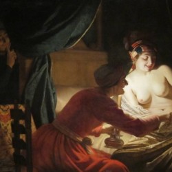 The flea hunt